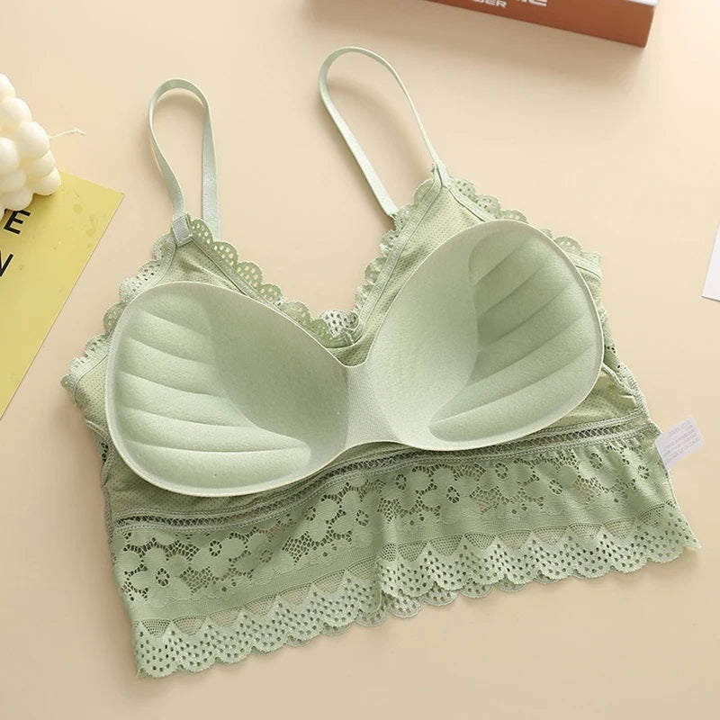 T-Shirt Bra Net – Soft Padded Everyday Comfort Bra for Women