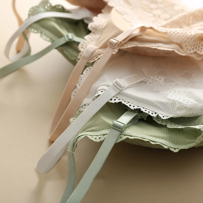 T-Shirt Bra Net – Soft Padded Everyday Comfort Bra for Women